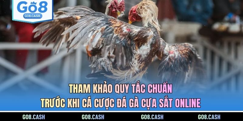 Tham khảo quy tắc chuẩn trước khi cá cược đá gà cựa sắt online