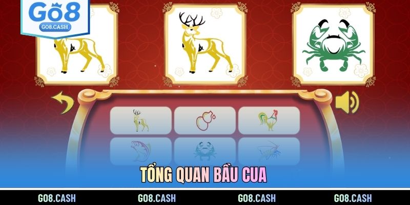 Tổng quan bầu cua